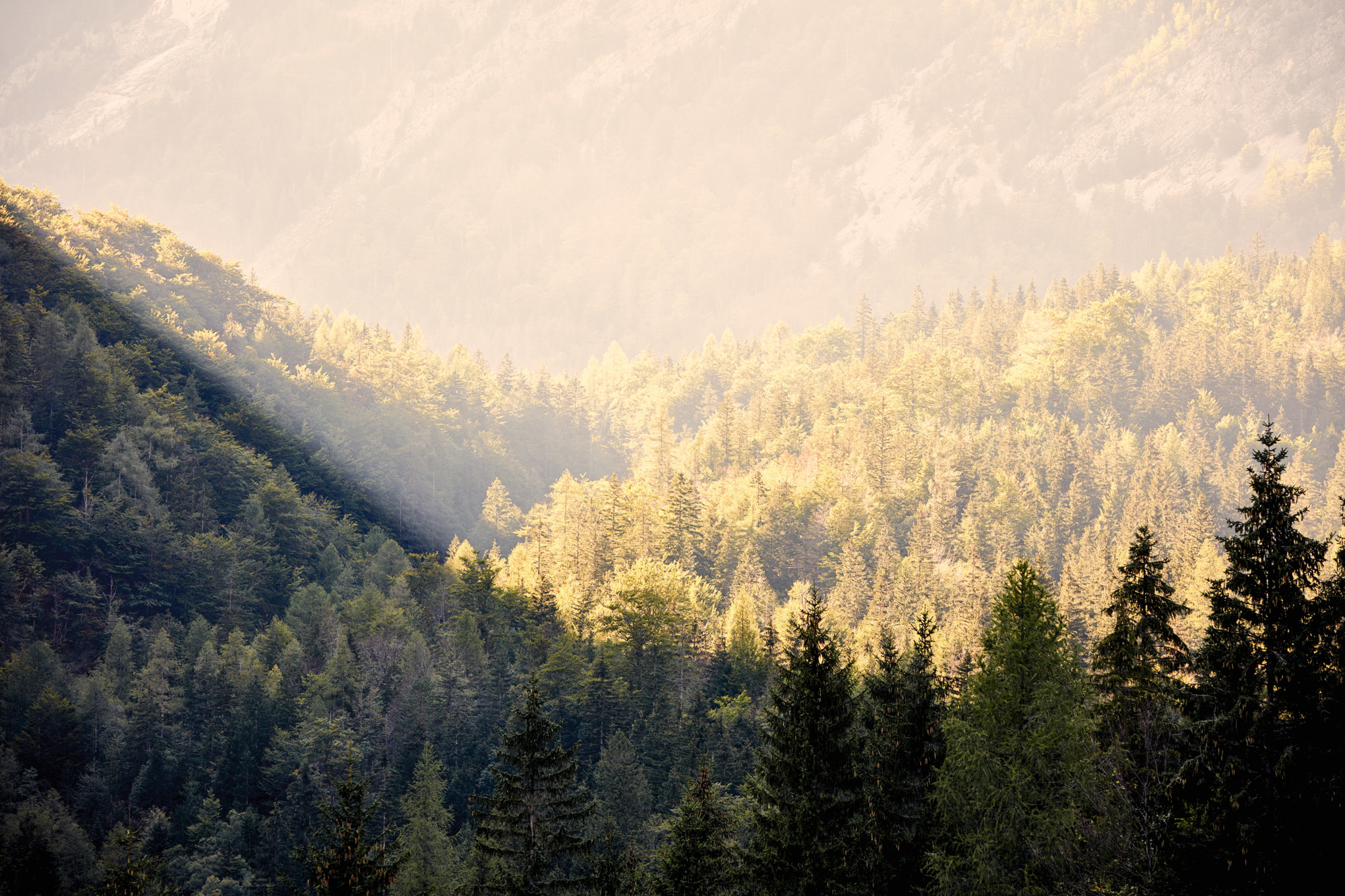 STIHL-myyntiyhtiöt maailmanlaajuisesti