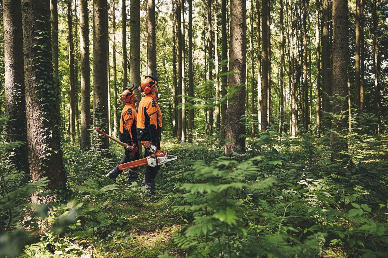 STIHL-historia